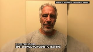 Newly-released files show Epstein paid for tests to create stem cells
