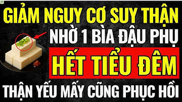 Người Cao Tuổi: Chỉ 1 BÌA ĐẬU PHỤ Ăn Đúng Cách Cực BỔ THẬN- Ngăn Suy Thận, Giảm CREATININE, TIỂU ĐÊM