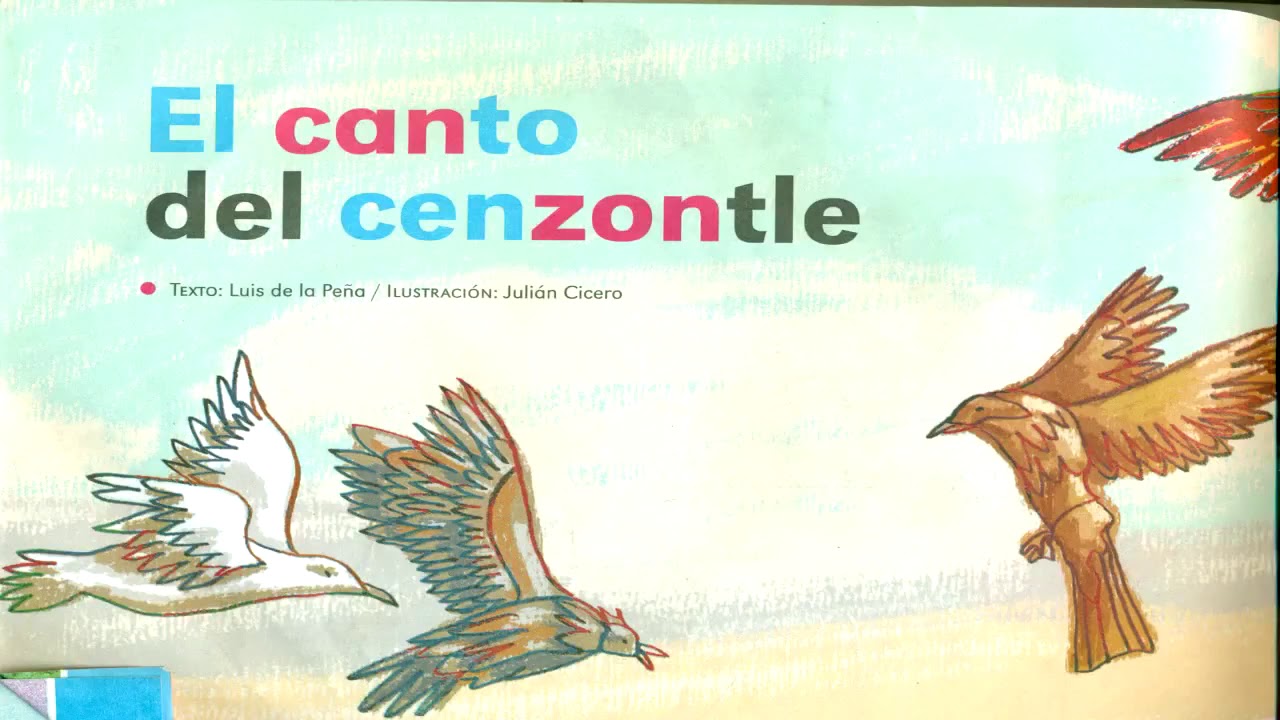 El canto el cenzontle-Cuentos infantiles - YouTube