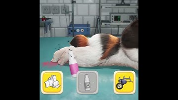 「パズにゃん/Kitten Match」Mother Cat Protects Her Disabled Baby