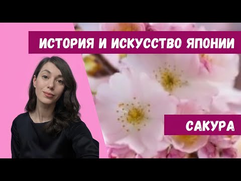 Сакура в культуре и искусстве Японии