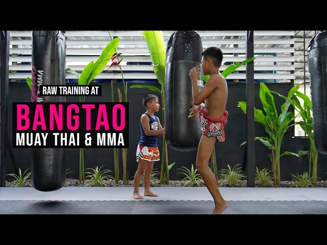 Training in paradise': how Bangtao Muay Thai & MMA is changing the