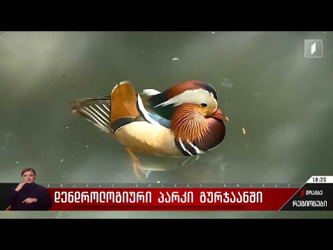 დენდროლოგიური პარკი გურჯაანში