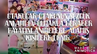 Anime Cizgi Film Mi ???