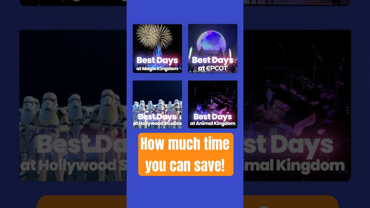 How much of a difference does day of the week make at Disney World? 📊 