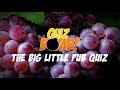 Virtual Pub Quiz • Trivia Quiz • Purple Grape Edition (5 Rounds with 10 Questions)