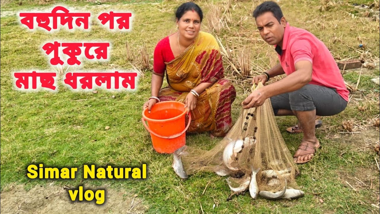 বিরাট বড়ো মাছ ধরা হলো পুকুর থেকে সবাই মিলে 