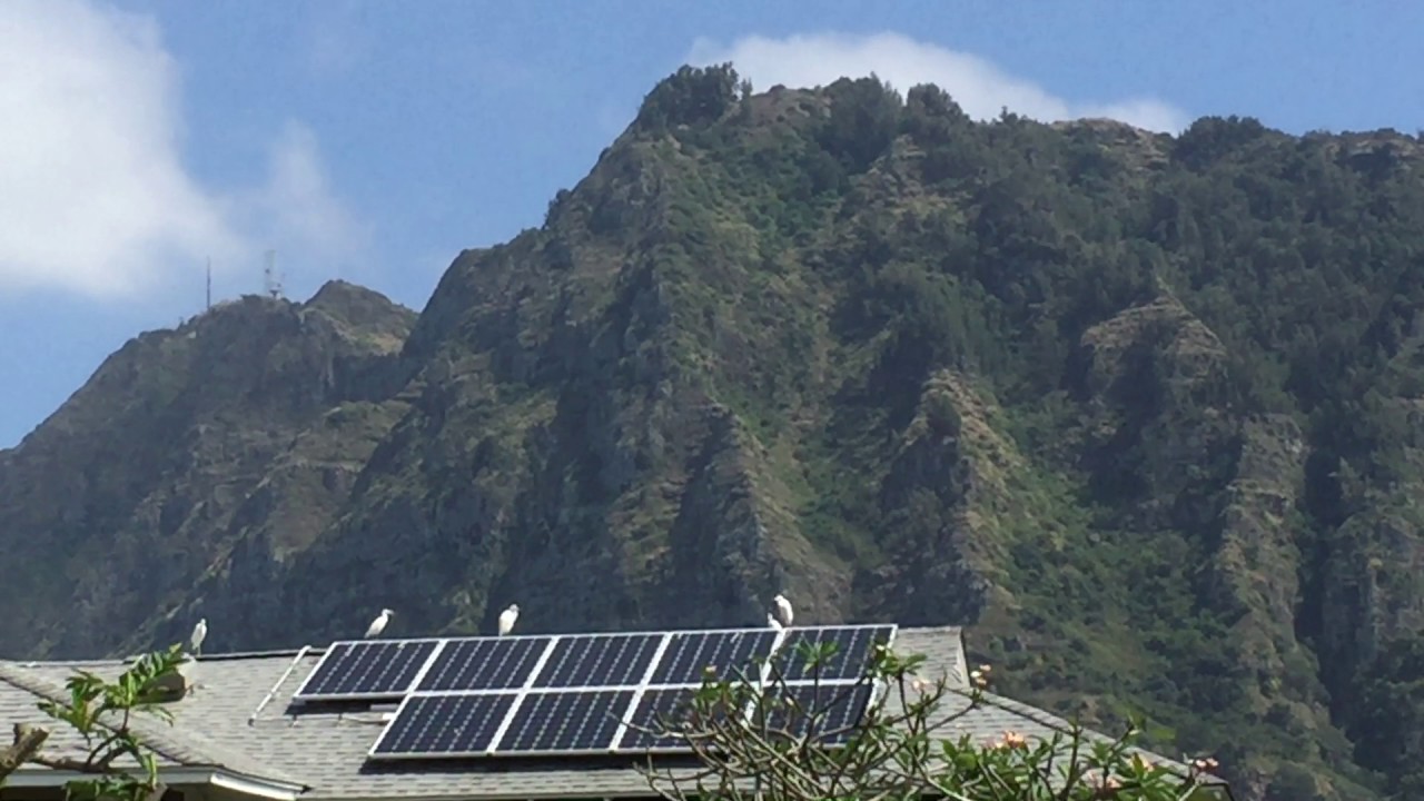 IMG 3701 YouTube img-3701-youtube