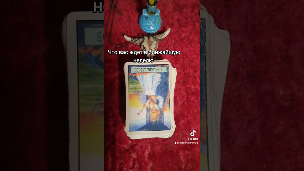 Что вас ждет в ближайшую неделю 