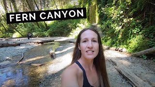 Fern Canyon Northern California Redwoods Hike