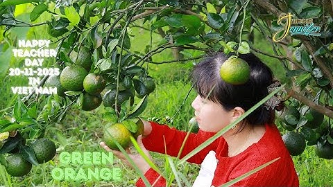 Những Quả Cam Xanh Trong Vườn Cô Giáo - MV Tri Ân 20-11 – Anh Ngữ Jennifer Nguyễn Ân