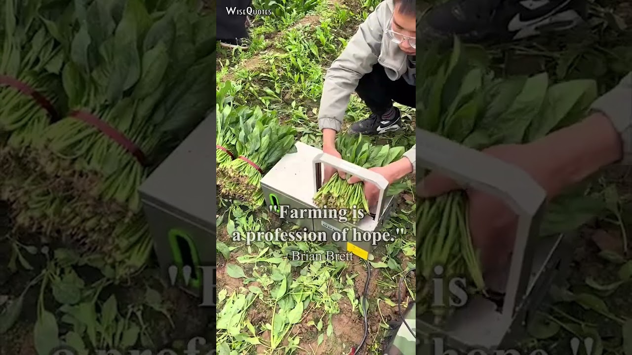 Motivational Agriculture, Fresh Vegetable Packaging, Farming As A Profession 