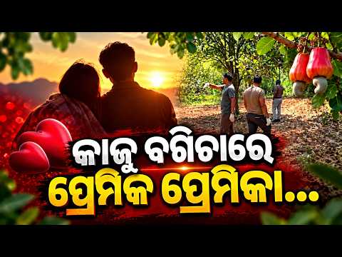 Papadahandi News: ଗୋଟିଏ ଗଛରୁ ମିଳିଲା ଦୁଇ ମୃତଦେହ, ପ୍ରକୃତ କାରଣ ଖୋଜୁଛି Police  | Knews Odisha