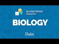Fundamental Concepts Biology mp3