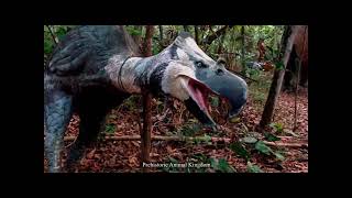 Ecm367 Abandoned Buildingmimaland