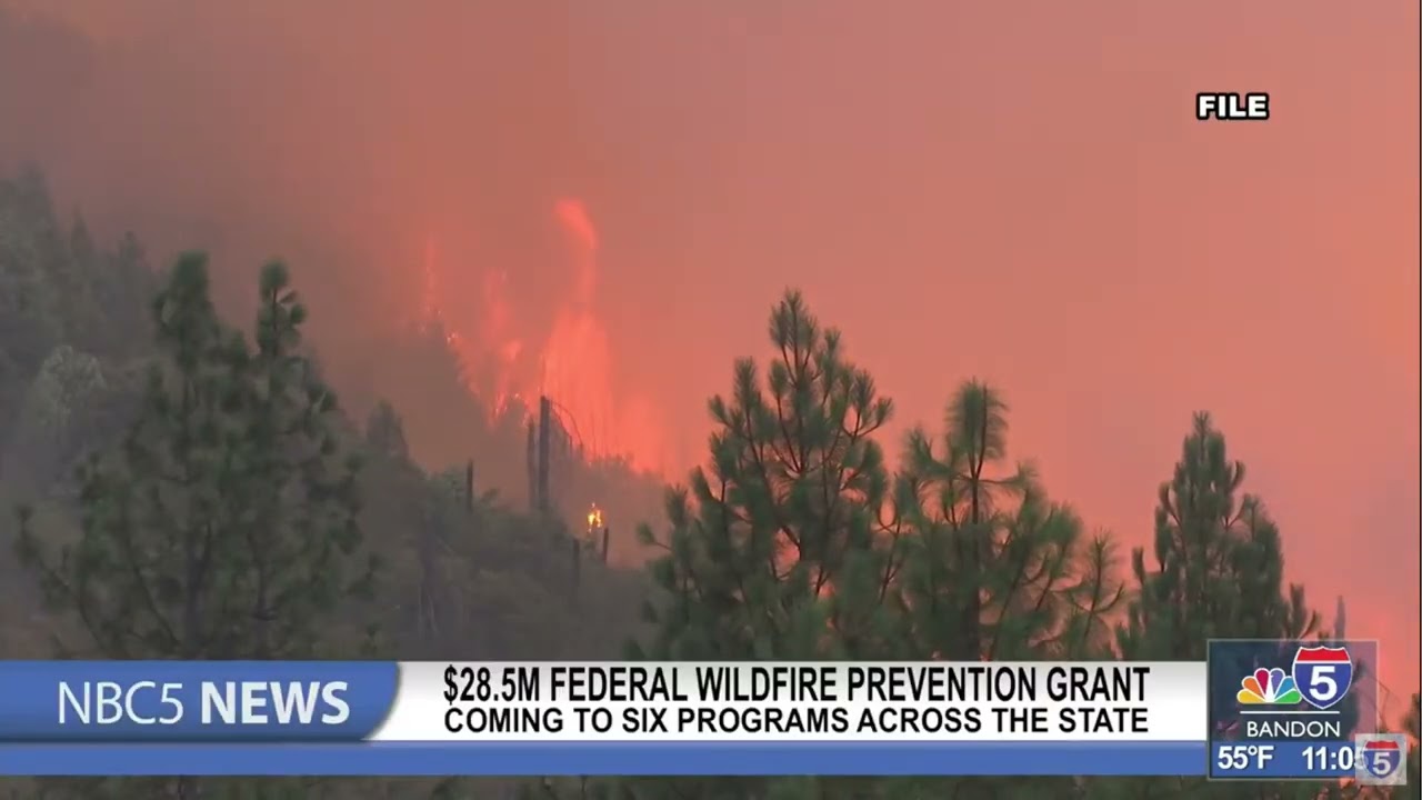 Более 28 миллионов долларов поступит в Орегон на финансирование проектов по предотвращению лесных...