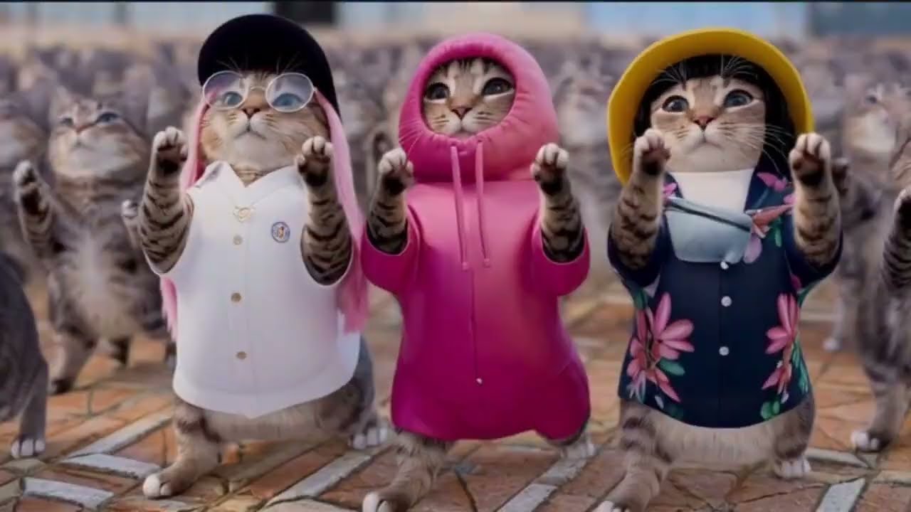 OIIA Cat x SODA POP ( kpop Demon Hunters Scene ) | Cat Dance | oiia cat dance (3 )