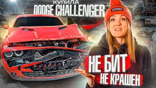 Купила Dodge Challenger Чуток Битьё