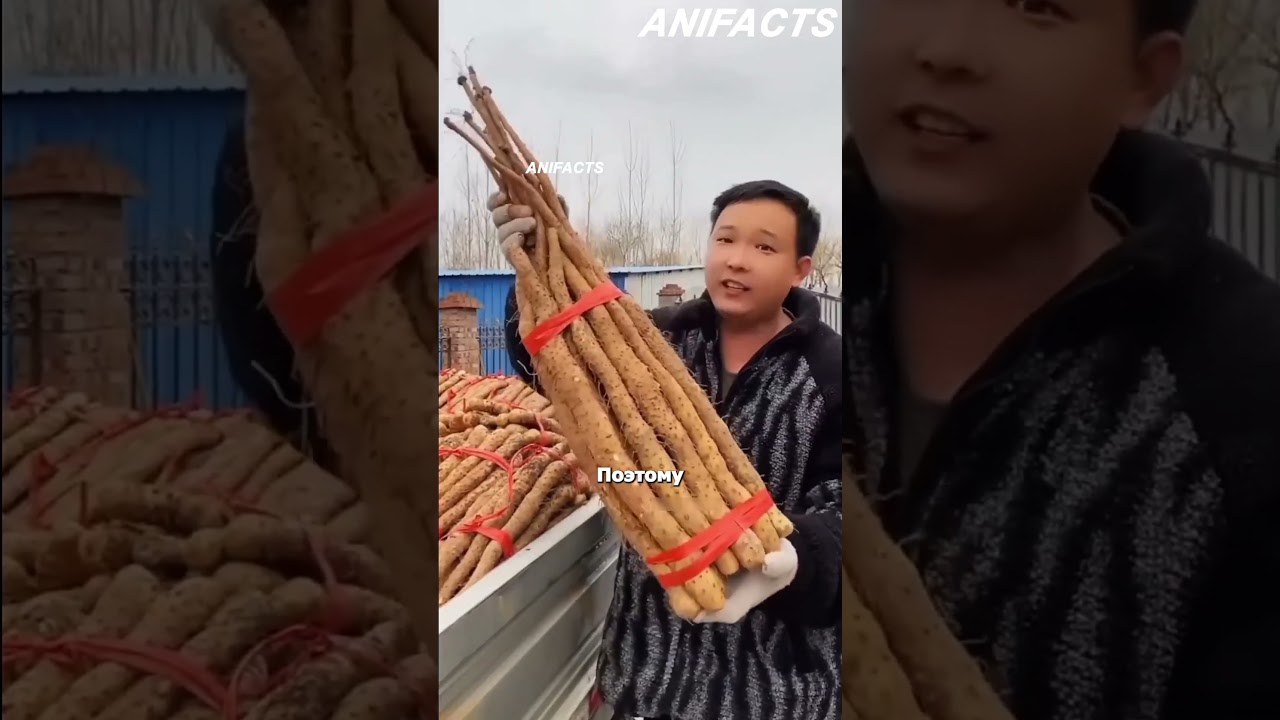 Зачем китайцам экскаватор в огороде? 