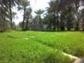 میر براهیم ء شعر وش گوش بشام سوریزیی 
