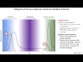 Lecture 1c categories of immune responses