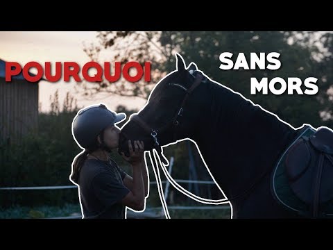 Vidéo: Est-ce que le sans mors fait mal aux chevaux ?