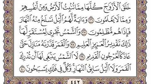 سورة يس مكتوبة سعود الشريم بدون اعلانات