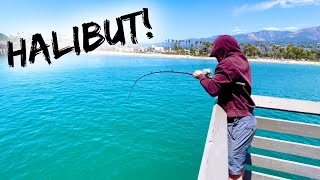 HALIBUT FISHING from the PIER!