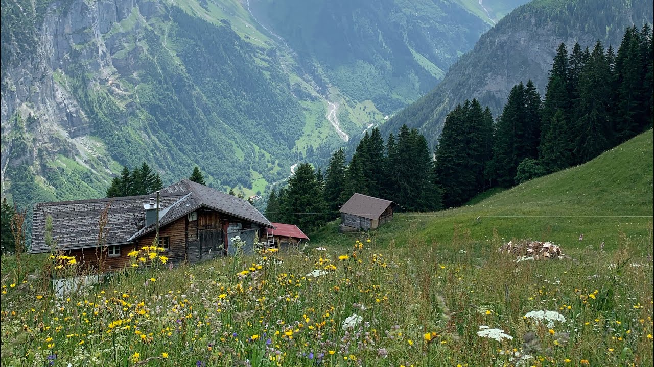 Peaceful Swiss countryside | Interlaken | Lauterbrunnen | Mürren