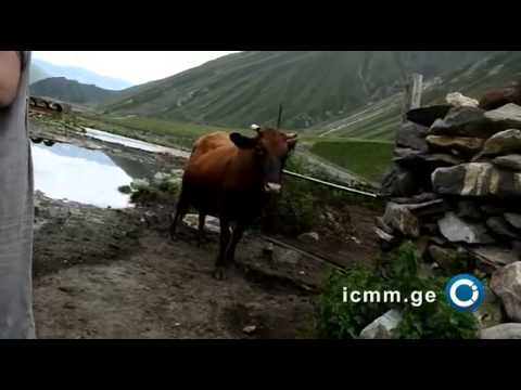 კეტრისს იქით შესვლა აკრძალულია – Aug 1, 2012