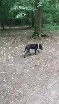 youtube.com