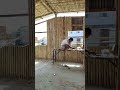 New Bamboo Hotel L Food Hotel New Restaurant Assam Bodostatus Bodo Bodoland 