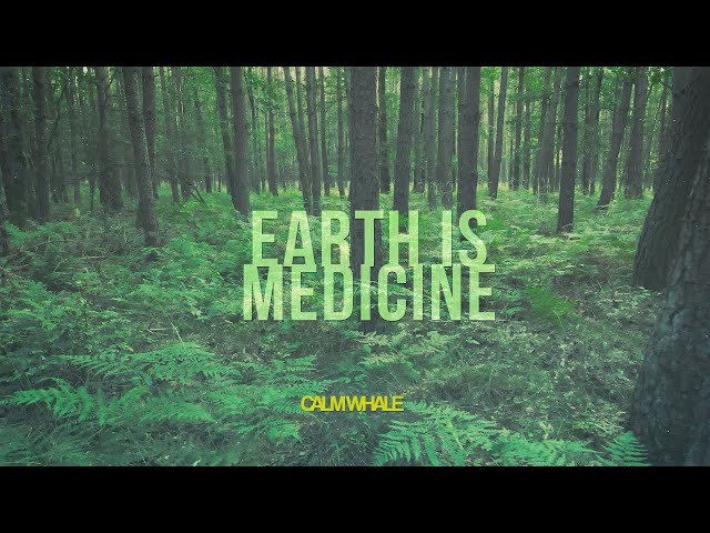 Earth is Medicine: Connect 🌍 Xamã Slow Drumming Grounding Journey [174 Hz] ♾️ class=