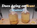 Does Aging on Dead Yeast Matter? A Reflective Test for Homebrewers