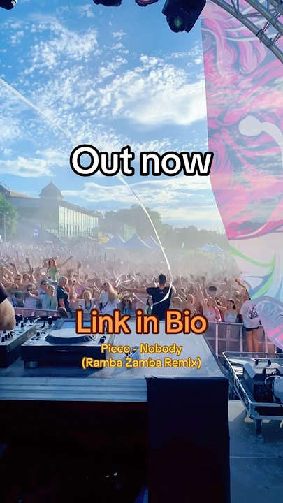 THIS REMIX IS OUT NOW🤯🥳 #festival #edm #dj #party #festivalremix #remix #nobody #djduo #fypシ゚