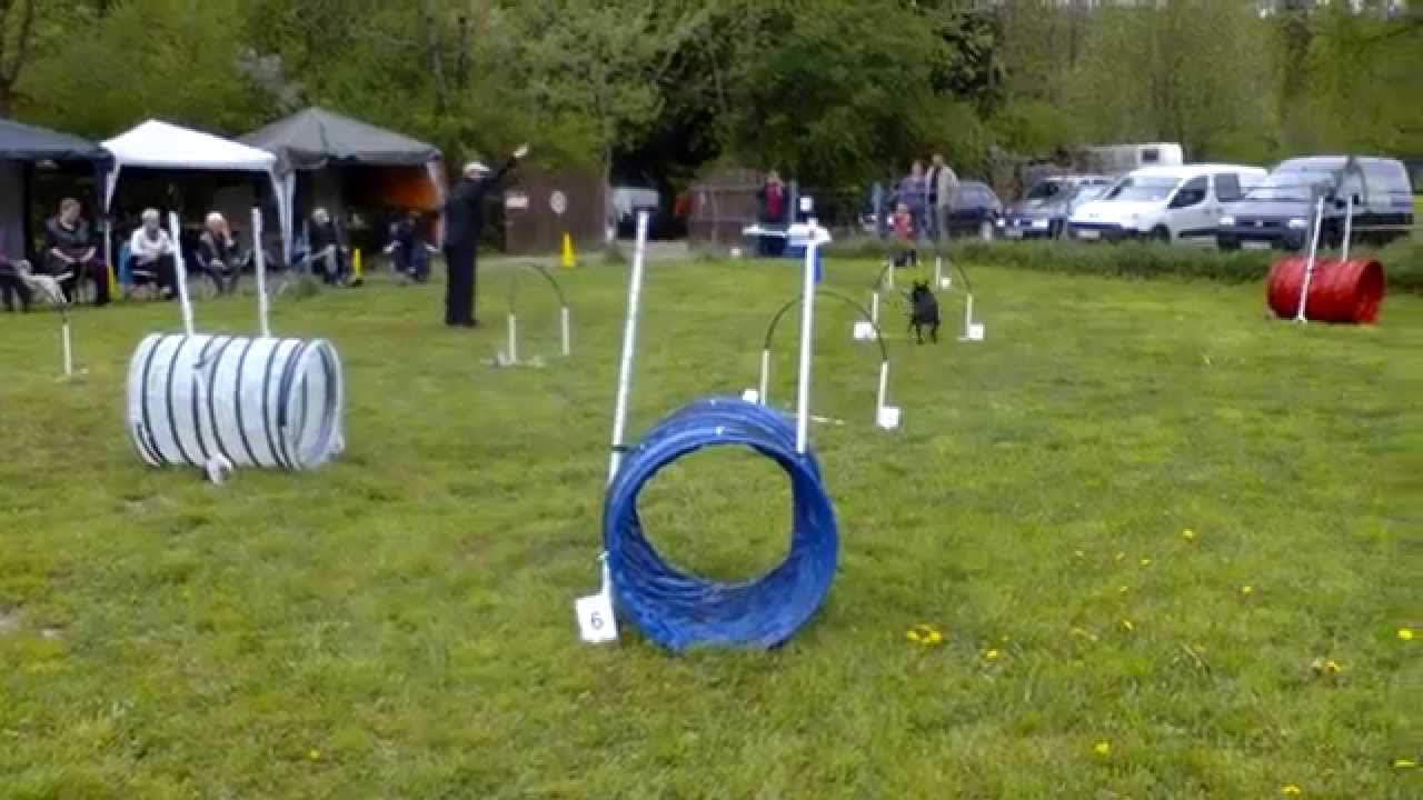 PVC/ALU Material 6 NADAC Mit Ständer – Blau &amp Produktbild-Vorschau 4