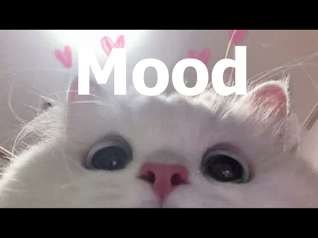 24kGoldn   Mood Slowed Cute ft salem ilese class=