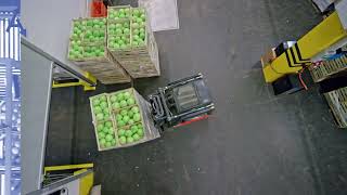 ALBASHA.EU Import and export of vegetables and fruits in Europe