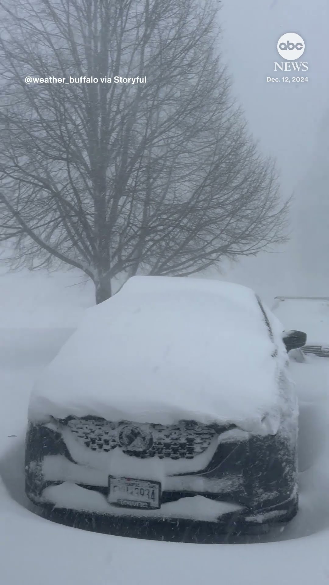 Man opens garage door to reveal heavy snowfall in New York