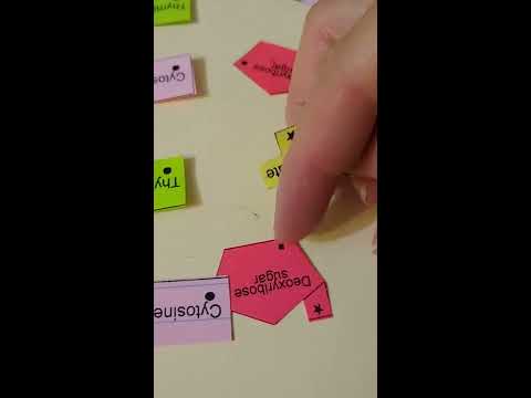 वीडियो: पेपर मॉडल कैसे इकट्ठा करें