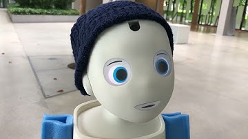 verbal and nonverbal communication with our navel head