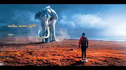 القارئ محمد سلامه | ولقد خلقنا الانسان من سلاله من طين صوت جي من القلب للقلب🌹❤