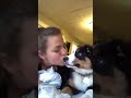 My dog is obsessed with his squeaky toy 😂 #dog #funnyvideos #viral #fyp #Funny