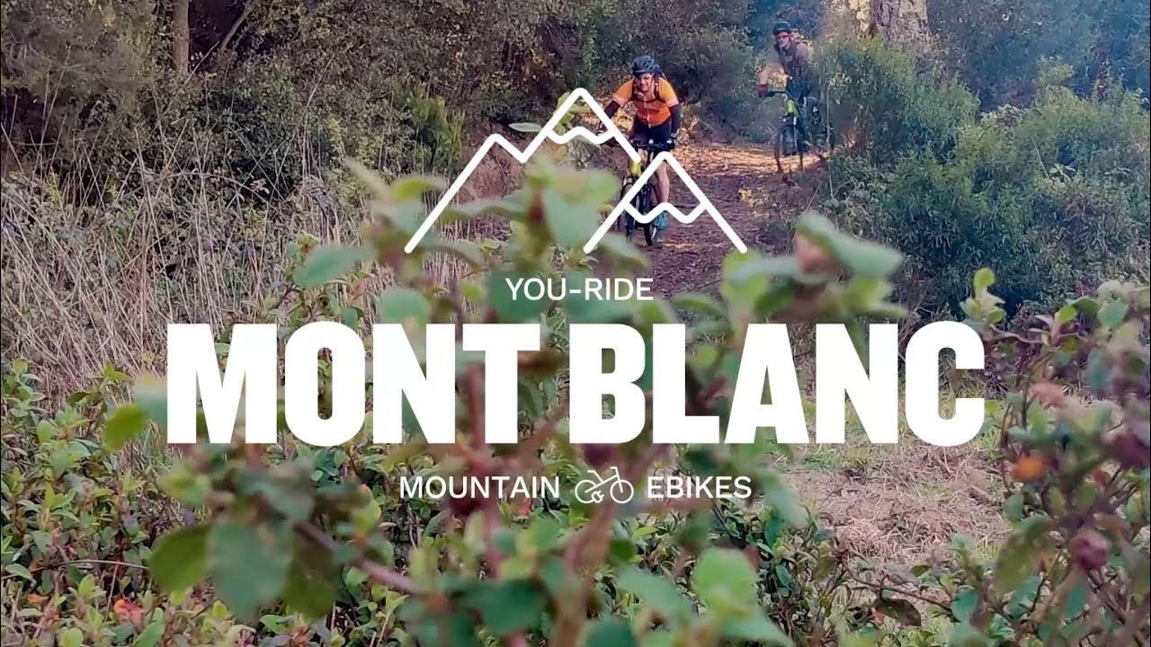 Bicicleta eléctrica Youin Mont Blanc