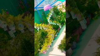 The beauty of rural life 🟢#villagelife #gardening #youtubeshorts