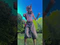 #furry #fypシ #therianthropy #yippee #fursuit #fypシ゚viral #idk #ilikeapplesandbananas