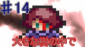 大きな樹の中で Youtube 大きな樹の中で Youtube
