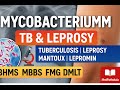 Lesson 20 | Mycobacterium (TB &amp; Leprosy) | M. tuberculosis, M. leprae, Mantoux  | BHMS MBBS FMG