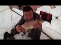 Ловля сига и щуки в Якутии. Объявление о розыгрыше призов на канале Клевая рыбалка!