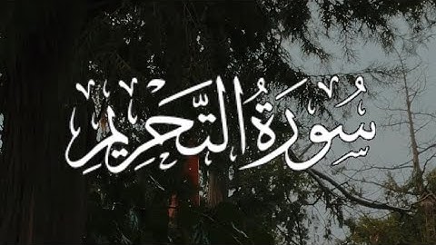Surah At-Tahrim | سورة التحريم كاملة مكتوبة بصوت القارئ-شريف مصطفى -